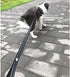 Creation Core Reflective Dog Leash Durable Padded Pet Leash Strap for Puppy Pet Leash Rope, Black 3.6Ft Long 0.8" Wide