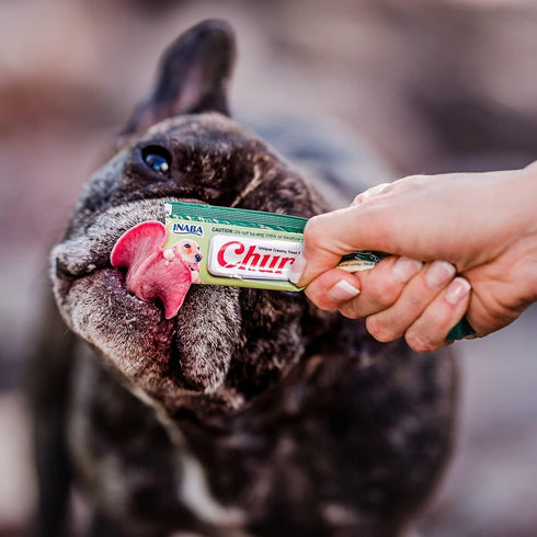INABA Churu Meal Topper for Dogs, Complete & Balanced, Creamy Lickable Purée, 0.5 Ounce Tube, 20 Tubes