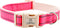 Lionheart Glory Reflective Dog Collar, Adjustable Durable Soft Classic Collar for Female Male Small Dogs Pet Gift (Pink)
