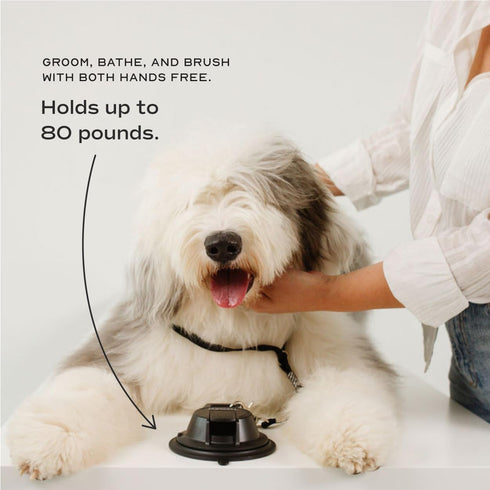Heavy Duty Suction Cup Dog Leash to Keep Them in Place for Bath Time and Grooming with Adjustable Loop
