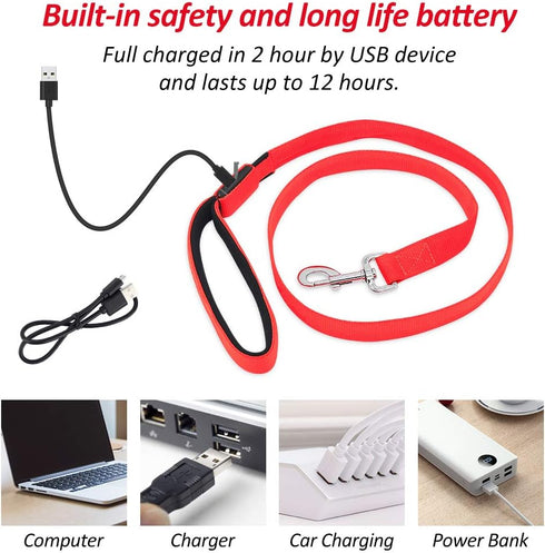 LED Dog Leash, USB Rechargeable Light Up Nylon Glowing Pet Leash for Night Walking (Red?)