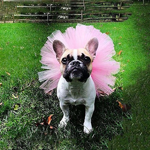 Pink Pet Puppy Small Dog Lace Skirt, Princess Tutu Dress Clothes for Pet Costumes and Accessories