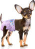 Disposable Female Dog Diapers, Puppy Diapers with Adjustable Elastic Waistline for Female
