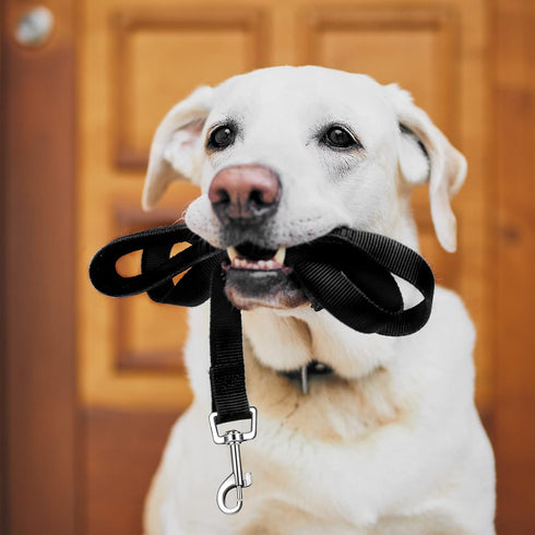 12 Pieces Long Training Leash for Dogs - Bulk Nylon Puppy Chain Leash for Small Medium Large Dogs