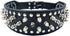 Dogs Kingdom Faux Leather Spiked Studded Dog Collar, Pitbull, Boxer, Black, L