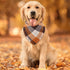 Fall Dog Bandana, Autumn Thanksgiving Plaid Reversible Triangle Bibs for Pets