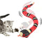 FauKait Cat Toys Snake Interactive,Kitten Toys,Realistic Smart Sensing Snake Toy,USB Rechargeable,Automatically Sense Obstacles