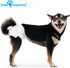 (12 Count, Paw Inspired Disposable Dog Diapers | Female Dog Diapers Ultra Protection | Diapers for Dogs in Heat