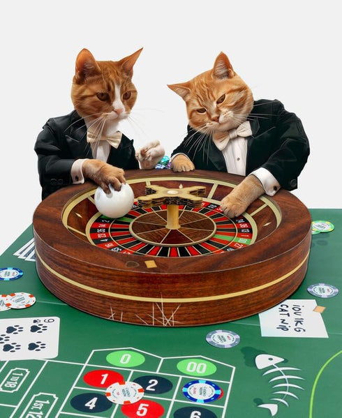 Suck UK - Interactive Cat Toys for Indoor Cats | Moving Spinning Cat Toy | Fun Cats Ball and Puzzle | Gifts for Kittens