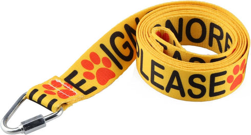 Funny Dog Leash, "Please Ignore Me" Design for Walking and Training, Perfect Gift for Dog Owners