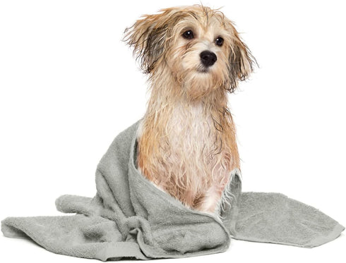 DAN RIVER 100% Cotton Dog Bath Towel, Ultra Soft 450 GSM, Quick Drying, Paw Embroidered Pattern, 20x40 inches