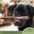 Redbarn Bully Slims Esophagus Dog Treats – 4.7 oz Bag, Natural Beef Esophagus, Gluten-Free Chew