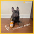 Dogelo Funny Alcohol Plush Toy - Stuffed Beer Dog Toy for Large and Small Dogs - Cool Puppy Accessories
