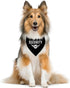 Security Dog Bandana, Dog Bandana, Black Pet Dog Scarf Accessories, Pet Dog Triangle Scarf, Funny Cute Dog Bandana, Dog Bandana for Small Medium Large Dogs, Gift for Dog Lover (C34)