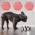 2pcs Stainless Steel Dog Bowls, Hammered Thickened Metal Dog Bowl Feeding or Water Bowls for Small/Medium/Large Sized Dogs & Cats Stackable Metal Cat Bowl Dishwasher Safe, Silver