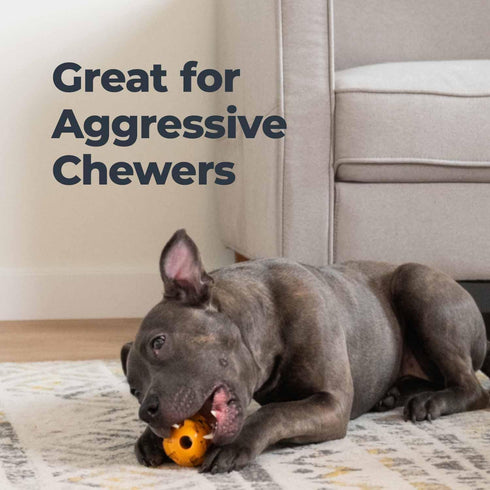 Oxyfresh Dog Dental Toy - Durable Rubber Chew Toy for Aggressive Chewers - Cleans Teeth & Freshens Breath (Large)