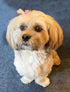 Cute Puppy Supplies Dog Accessories - Hair Bows and Grooming Products for Large and Medium Dogs, 8ct Small Dog Bows