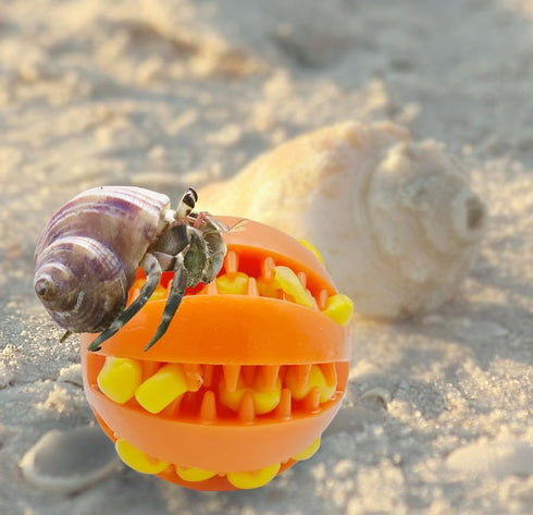 MAGNEECH 2 Pcs Hermit Crab Toys,Hermit Crab Treat Ball/Feeder Ball,Hermit Crab Wheel are Perfect Decorations