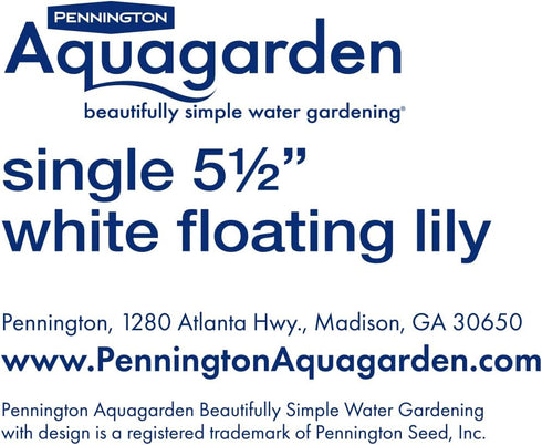 Floating Lily, 5 ½” Diameter, Plastic Plant, Pond/Aquarium Decoration