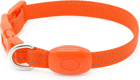 Candofly Light Up Dog Collar, USB Rechargeable Glowing Puppy Collar for Night Walking, X-Small, Orange
