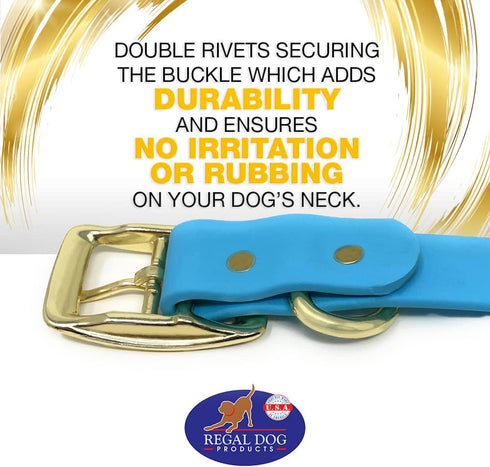 Regal Dog Products Small Light Blue Waterproof Dog Collar with Gold Buckle, Durable and Comfortable Design