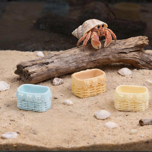 DQITJ 6 Pcs Jumping Spider Water Bowl Food Dish Micro Basket Decor for Hermit Crab Tarantula Snail Millipede Small