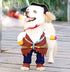 Idepet New Funny Pet Clothes, Pirate Dog Cat Costume Suit, Medium, Corsair Dressing Up Party Apparel with Hat
