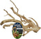 Zoo Med ZML Spider Wood, 8-12IN SM