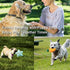 9 Pack Small Dogs Puppy Squeaky Dog Toys, Cute Variety Colors for Small Dogs to Bite Anytime