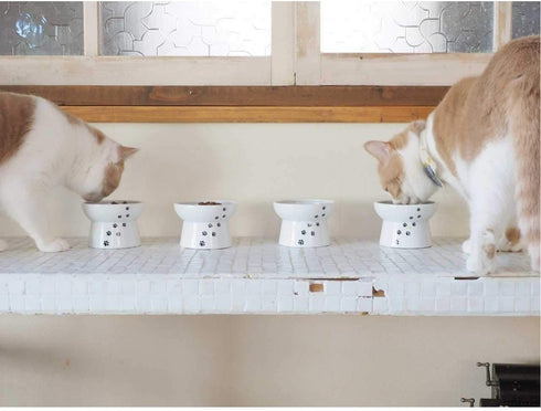 Necoichi Raised Stress Free Cat Food Bowl, Elevated Design, Dishwasher and Microwave Safe (Regular)