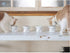 Necoichi Raised Stress Free Cat Food Bowl, Elevated Design, Dishwasher and Microwave Safe (Regular)