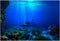 FILFEEL Aquarium Background Fish Decorations, 3D Effect PVC Adhesive Poster Underwater World Backdrop