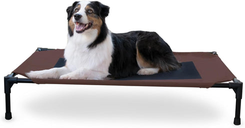 K&H Pet Products Dog Cots, Large, Elevated Outdoor Dog Cot Bed, Washable, Portable, Heavy Duty Metal Frame,