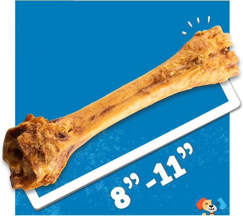 8-11 (1 Pack) Jack&Pup Shin Bones, Roasted Meaty Beef Bone for Dogs Long Lasting Natural Dog Bones, Big Dog Bone