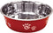 Ethical Pet Barcelona 64-Ounce Matte and Stainless Steel Pet Dish, Raspberry