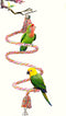 SunGrow Rope Perch for Parrots, 59” Long Bungee Bird Toy, Brightly Colored with Jingling Bell