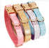 Glare Gold Dog Collar, Leather and Nylon Double Layer Design, Adjustable Heavy Duty with Quick Release Buckle for Dogs