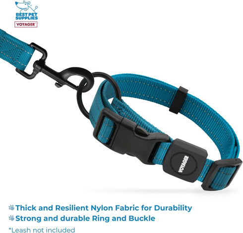 Best Pet Supplies Reflective Dog Collar, Adjustable Length, Heavy-Duty Buckle for Small, Medium, Large Breeds,
