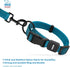 Best Pet Supplies Reflective Dog Collar, Adjustable Length, Heavy-Duty Buckle for Small, Medium, Large Breeds,