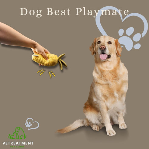7" Plush Squeaky Toy for Small Dogs - Soft and Washable Corn Design