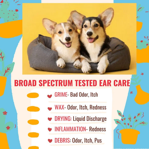 PetGlow Natural Dog Ear Cleaner with Turmeric, Infection Therapy for Yeast, Eliminates Pain, Odor, Wax & Chronic Itch
