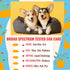 PetGlow Natural Dog Ear Cleaner with Turmeric, Infection Therapy for Yeast, Eliminates Pain, Odor, Wax & Chronic Itch