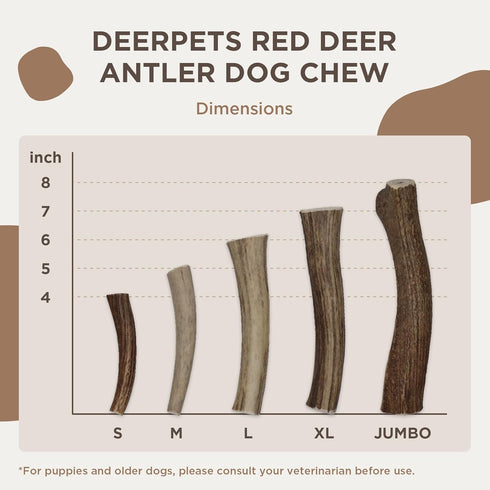 Premium Red Deer Antler Dog Chew, 4-8 inch Naturally Shed Antlers for Dogs, Aggressive Chewers, 1 Count (Jumbo)