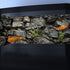 48X20IN Stone Aquarium Background, Natural Rocky Glass Terrarium Background with 8 EVA Double-Sided Tape