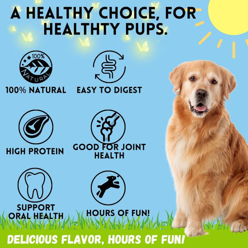 12 Inch Bully Sticks (Regular - 8 Pack) - 100% Grass Fed Beef, Dog Parents Choice Bully Stick Chews