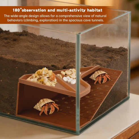 Olnverath 2-in-1 Hermit Crab Cave Habitat with Climbing Tunnel, Cave Shelter & Feeding Dish, Textured Climbing Ramp