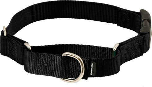 PetSafe Martingale Dog Collar - Quick-Snap Buckle, Medium, 3/4 Inch, Black