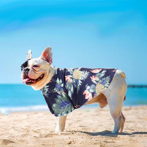Pack of 4 Hawaiian Dog Shirt Summer Clothes, Breathable Dog Sweatshirts with Coconut Tree & Pineapple for XS-5XL (XL)