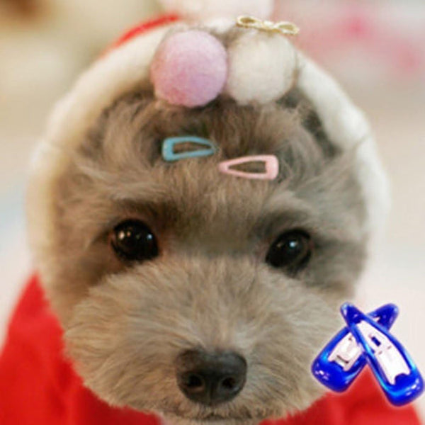 PET SHOW Cute 0.9" Waterdrop Small Snap Hair Clips - Pack of 20 for Dog Cat Puppy Grooming