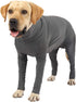 Female Dog Surgery Suit for Spay Recovery, Neuter Onesie for Surgery, Grey/XXX-Large